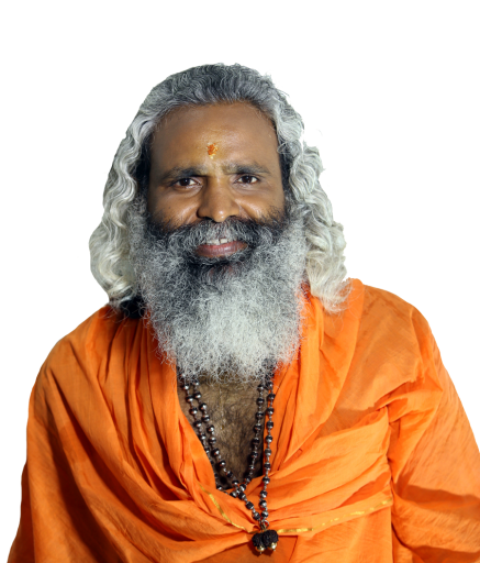 Swami-ananda-saraswati